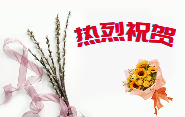 熱烈祝賀我國首次提出的工業(yè)窺鏡視覺檢測系列國際標(biāo)準(zhǔn)成功立項(xiàng) 熱烈祝賀我國首次提出的工業(yè)窺鏡視覺檢測系列國際標(biāo)準(zhǔn)成功立項(xiàng)